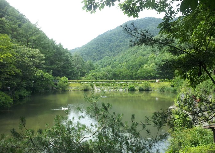 만인산