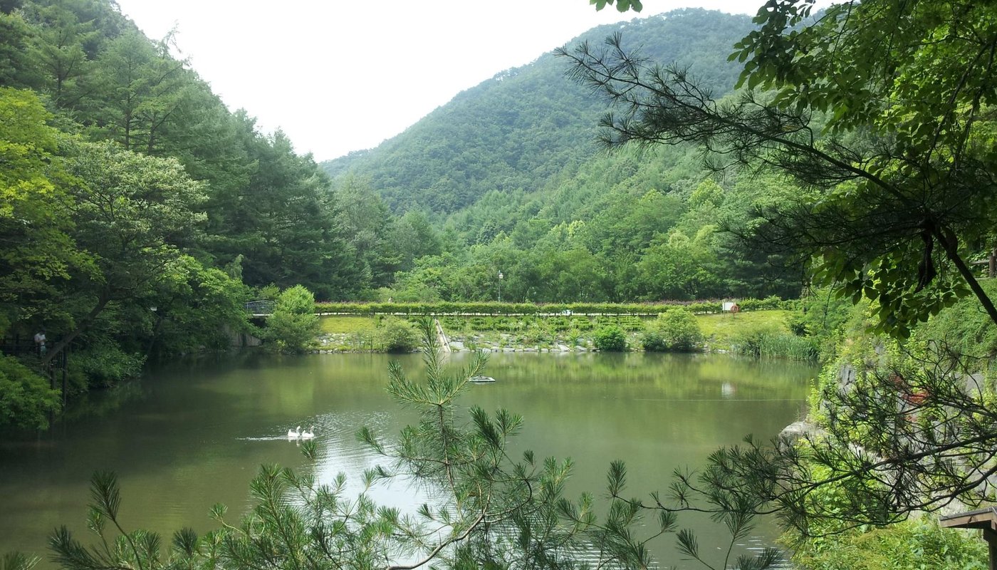 만인산 - 대전 - 만인산의 리뷰 - 트립어드바이저