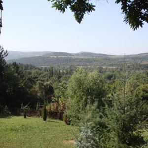 the view from the garden