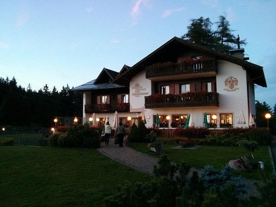 ALBERGO SCHNEIDERWIESEN  Bewertungen  Fotos Preisvergleich  Laives