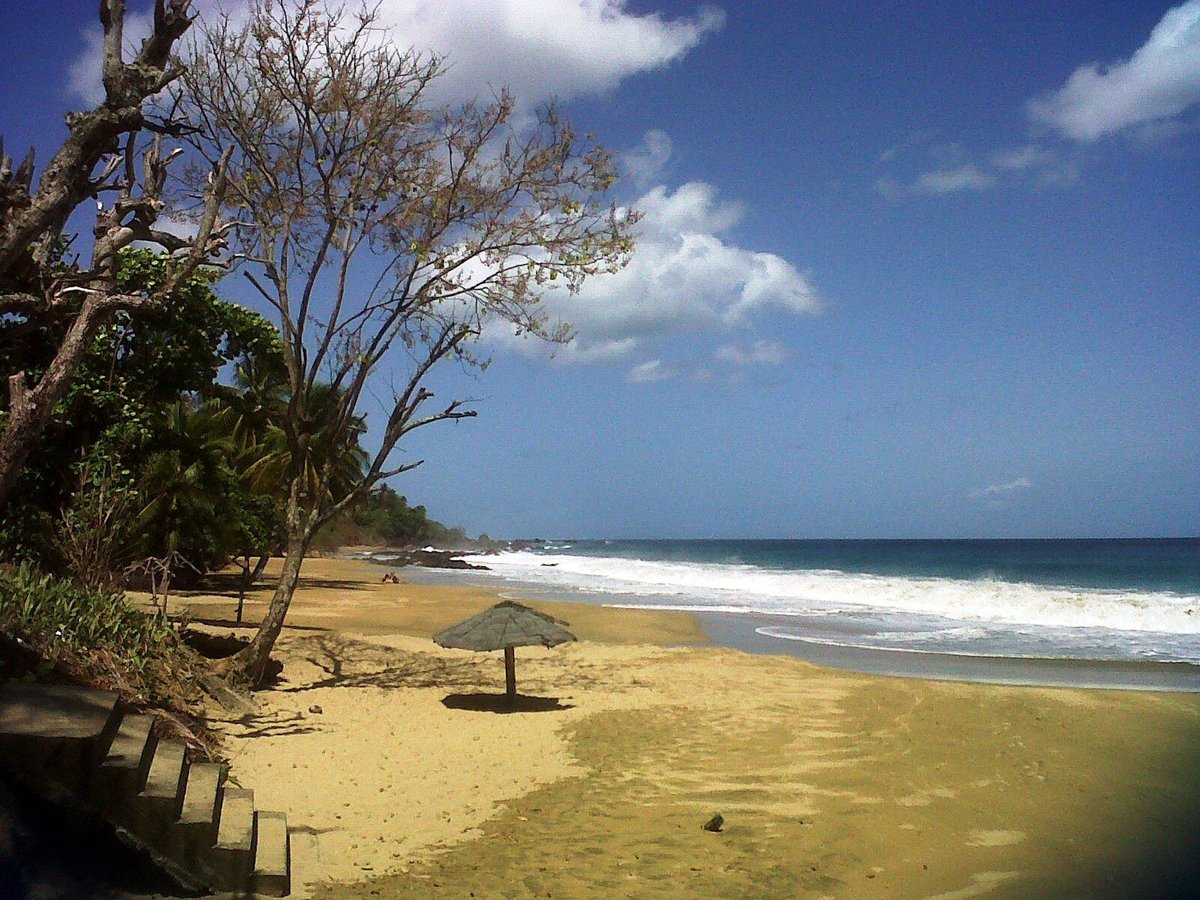 Black Rock Divers Tobago - All You Need To Know Before You Go