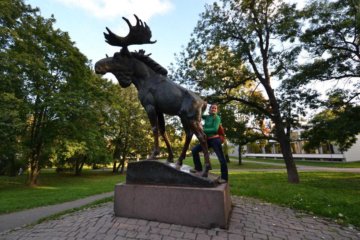 Памятник лосю, Выборг: лучшие советы перед посещением - Tripadvisor