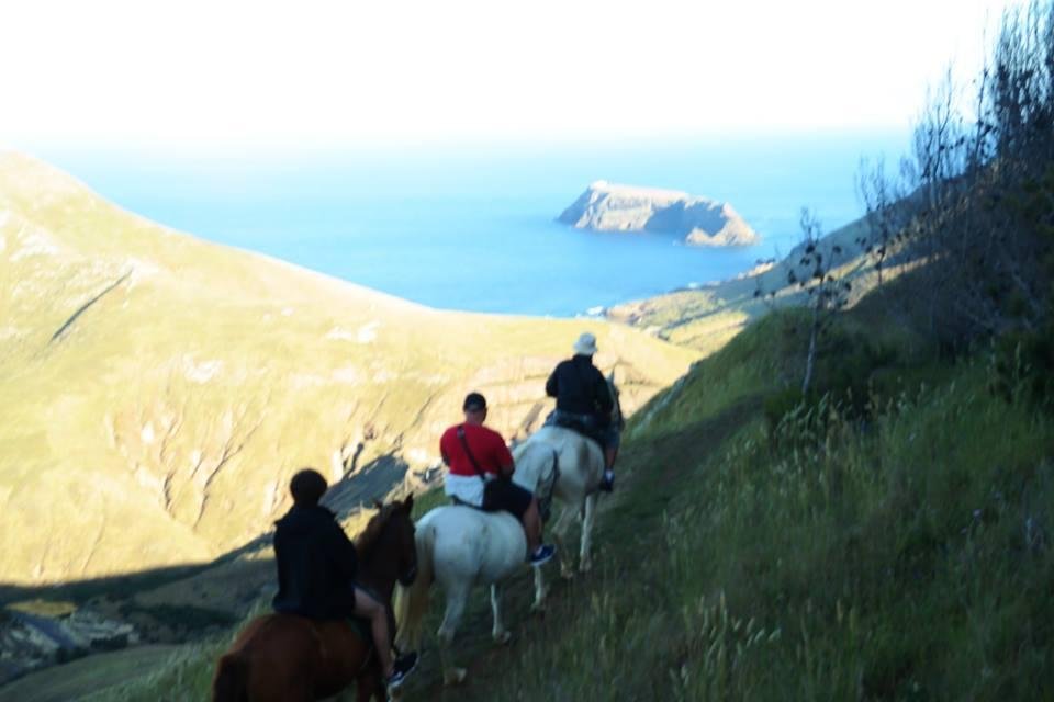 Passeios a cavalo que são ótimas pedidas para conhecer a natureza  pantaneira de pertinho