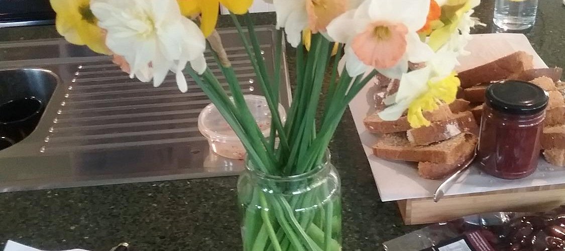 Daffodils seem to grow like Weeds around Forth - very pretty