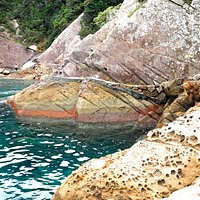 水際の遊歩道
