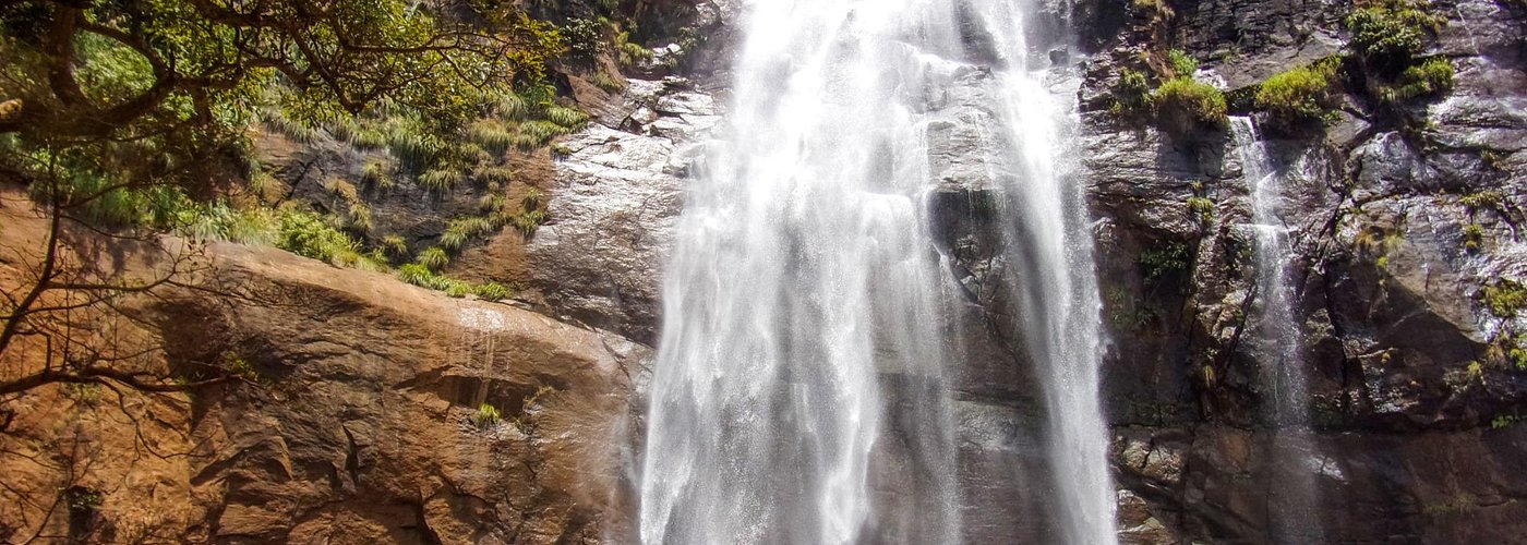 Agaya Gangai Falls