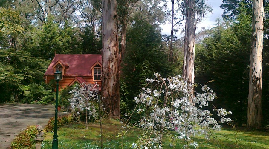 Spring at the B&B