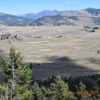 Specimen Ridge (Yellowstone National Park) - All You Need to Know ...