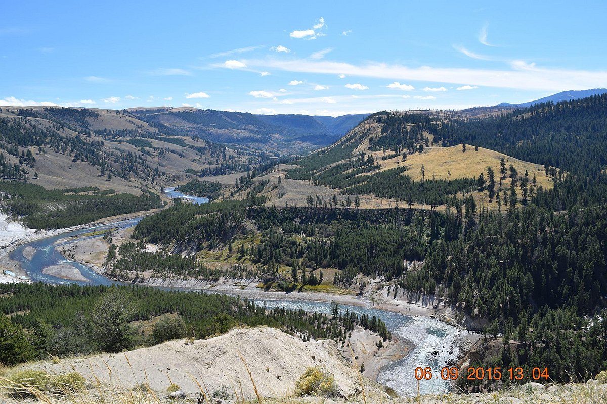 Specimen Ridge Yellowstone National Park All You Need To Know