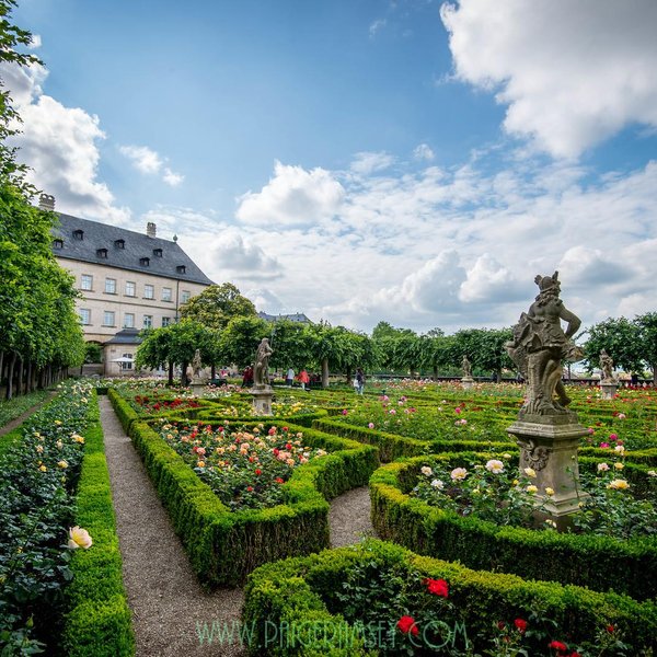 THE 10 BEST Restaurants Near Rose Garden at the New Residenz
