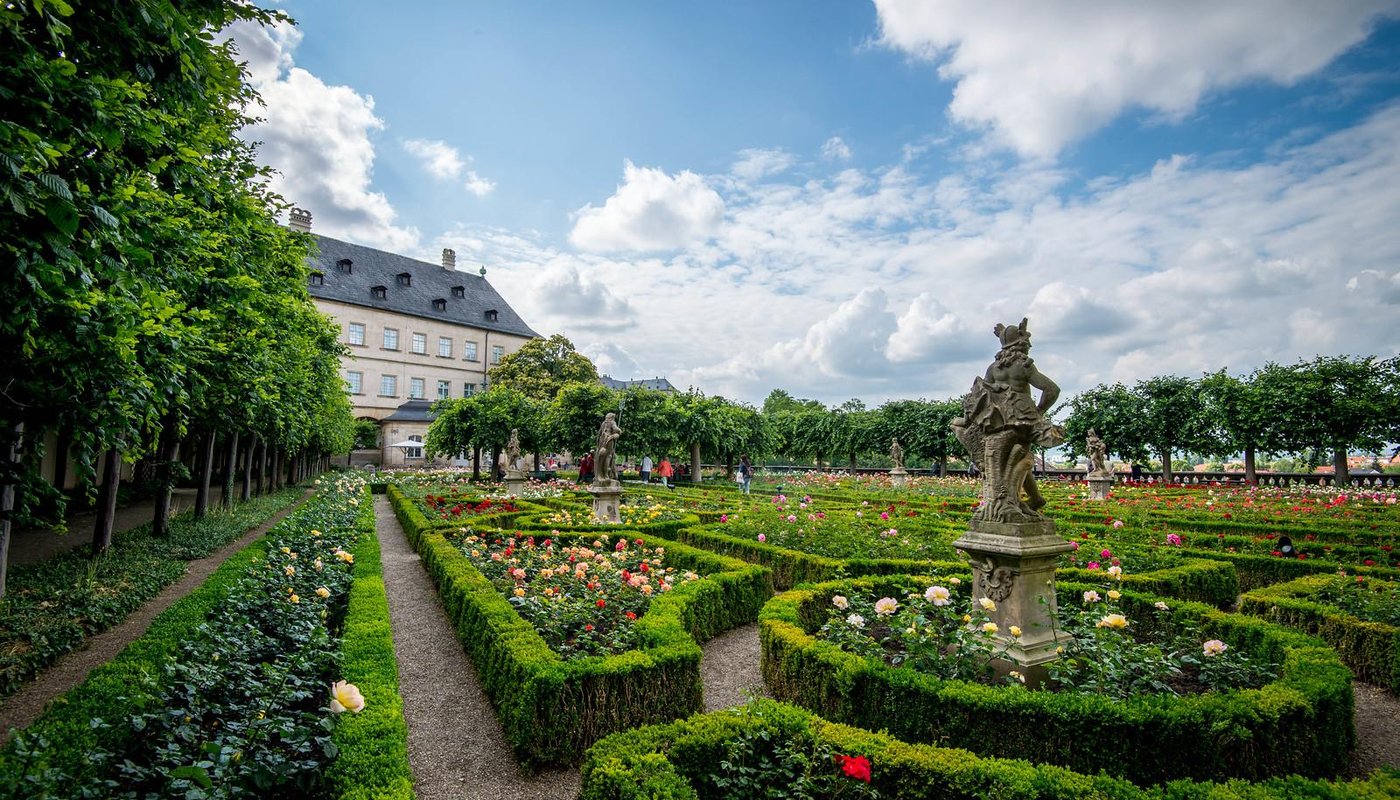 Rose Garden at the New Residenz (2025) - All You Need to Know BEFORE You Go (with Reviews)