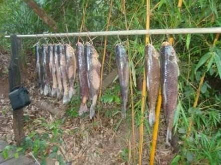 Aqui é o lugar dos peixes maiores