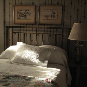 Late Afternoon Sun