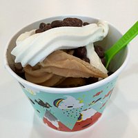 frozen poop.