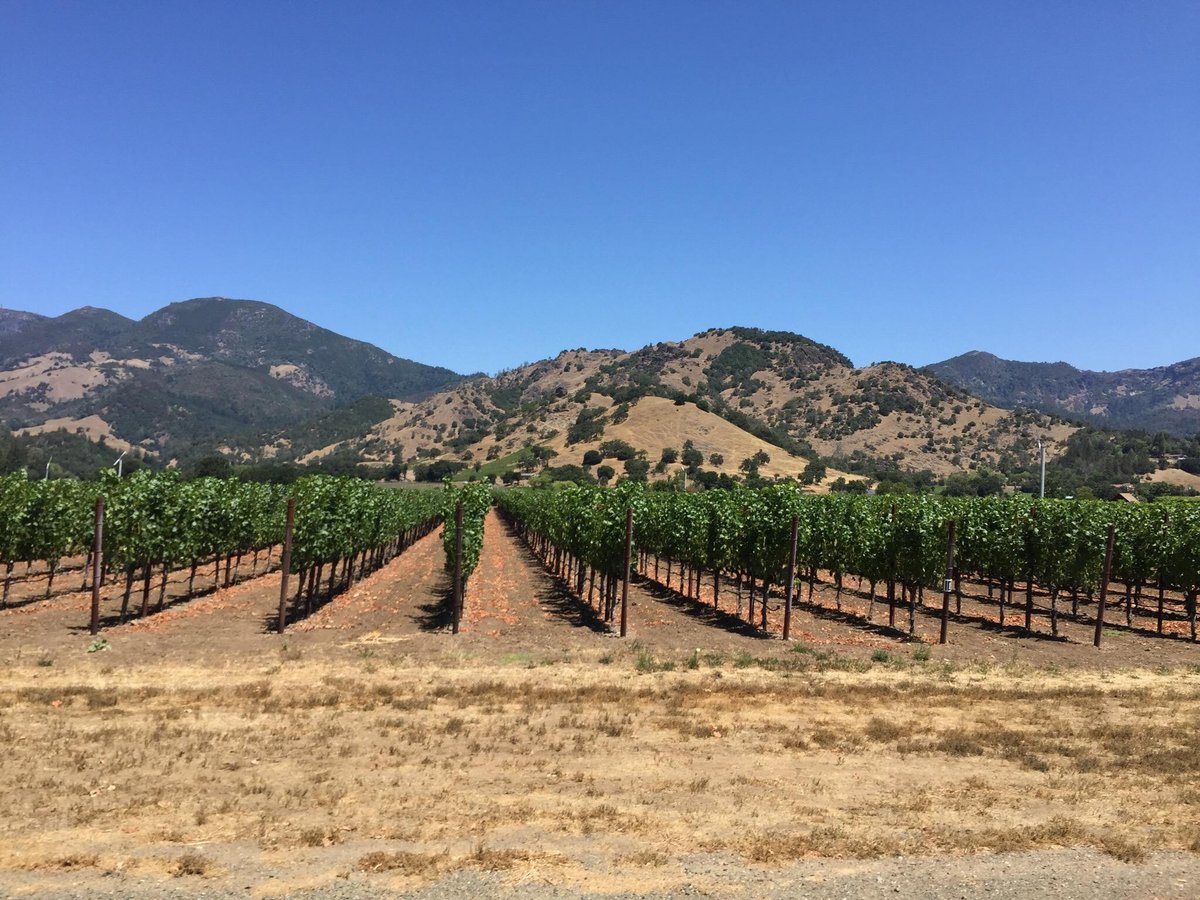 Napa Valley Winery Bike Tour - All You Need to Know BEFORE You Go (2024)