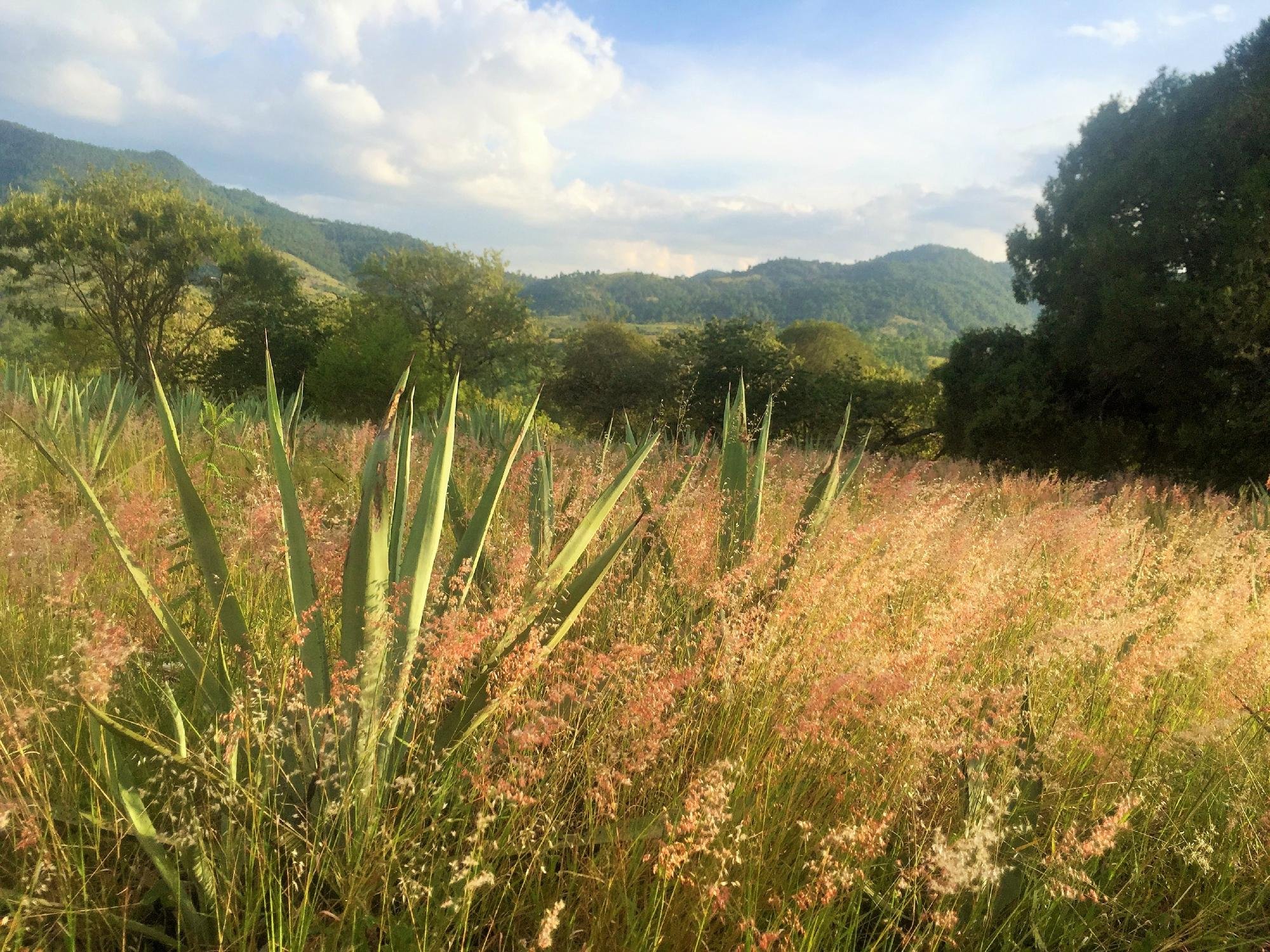 zapotrek hike and bike oaxaca