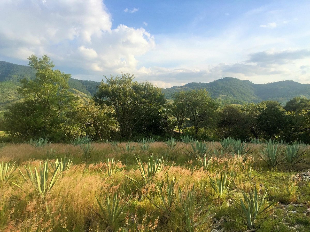 zapotrek hike and bike oaxaca