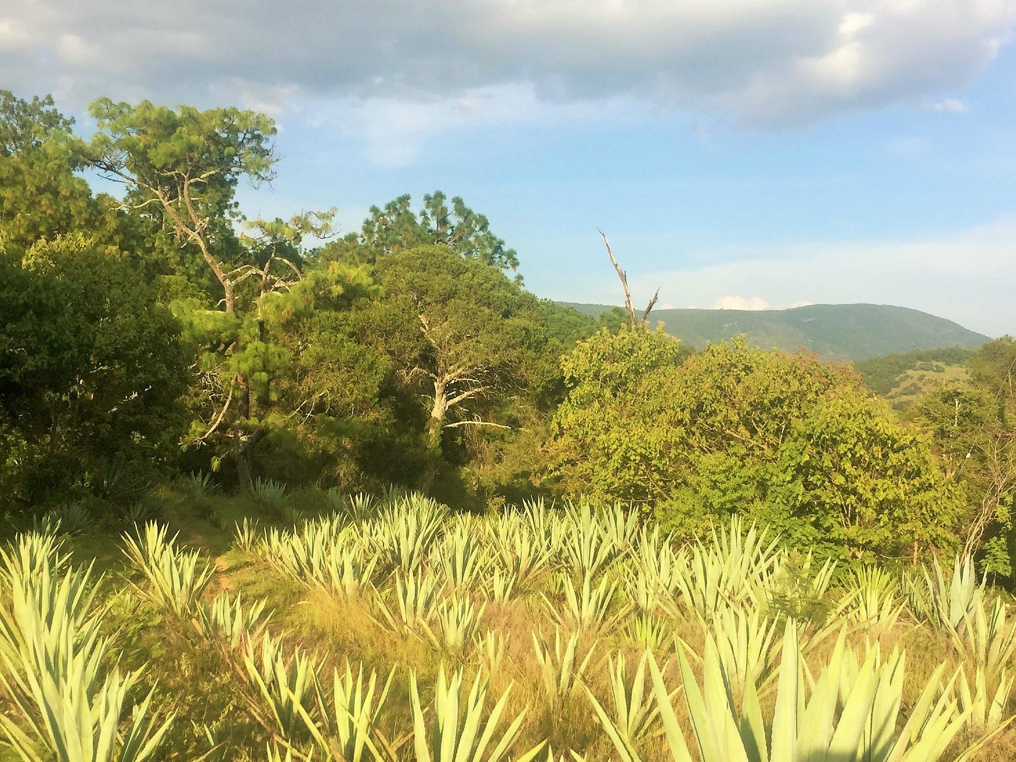 zapotrek hike and bike oaxaca