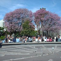 Plaza armenia