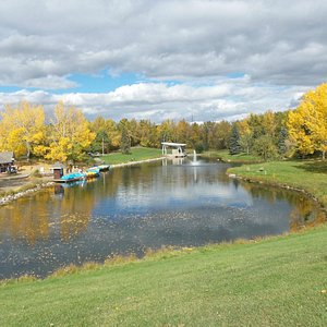 KERRY WOOD NATURE CENTRE - All You Need to Know BEFORE