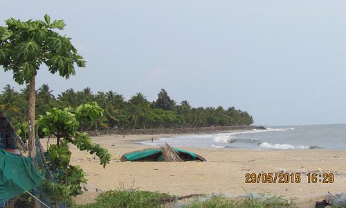 View from Walking path at Munambam