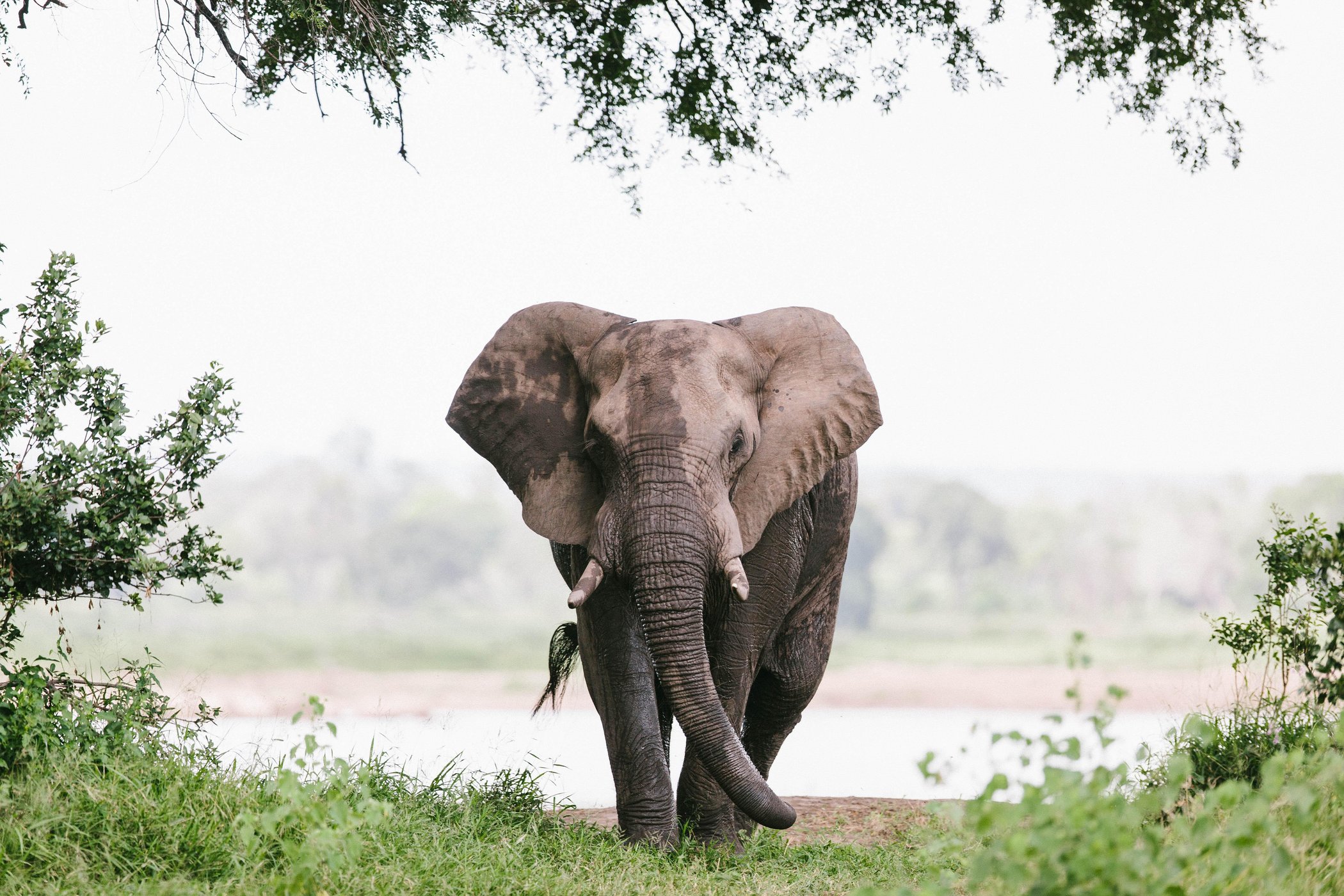 Chilo Gorge Safari Lodge by null
