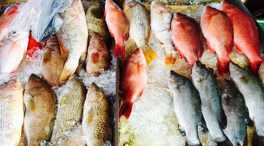Fresh caught seafood daily