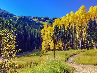 THE BEST Beaver Creek Hiking Trails (with Photos) - Tripadvisor