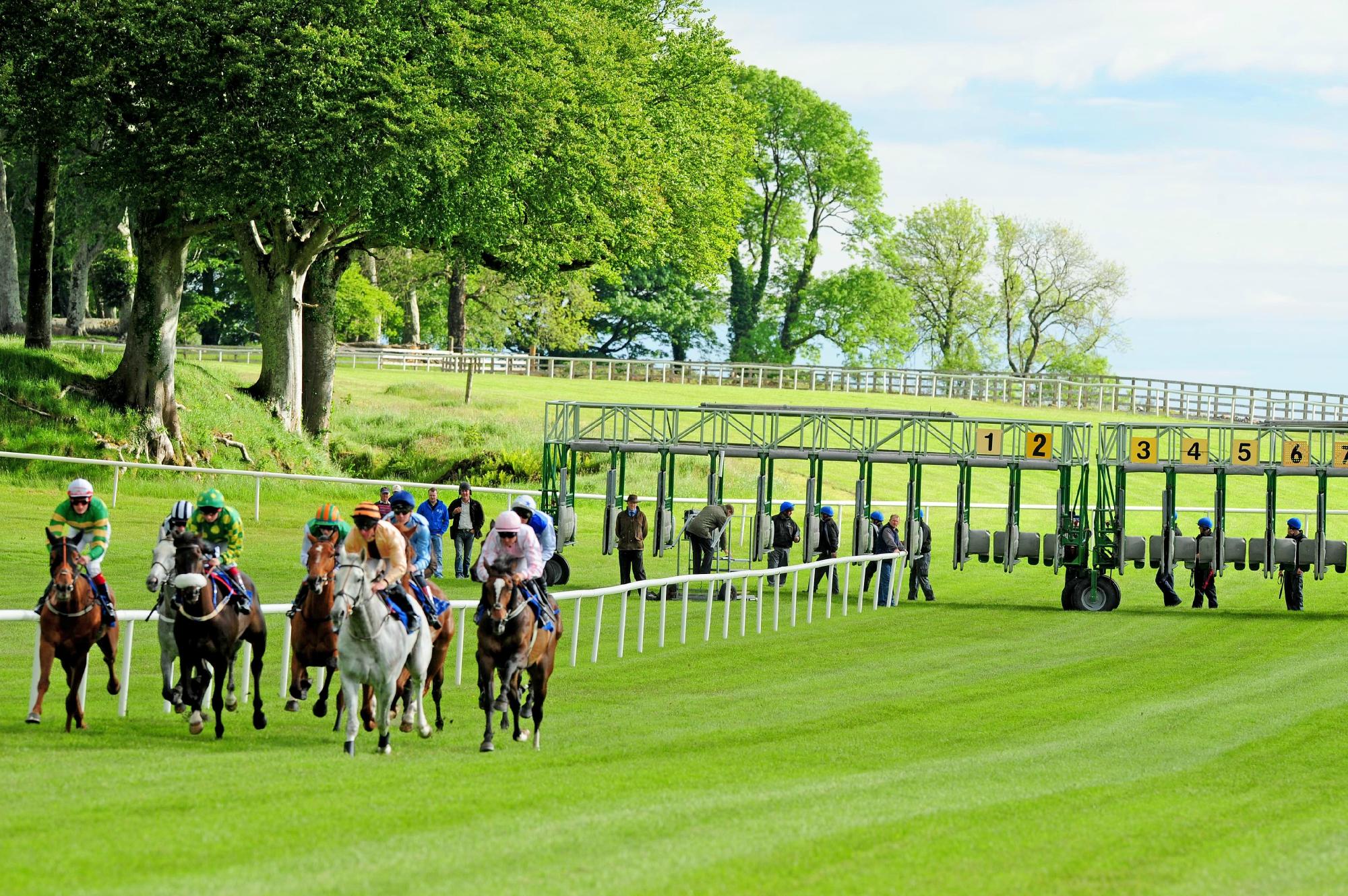 THE 5 BEST Things To Do In Ballinrobe 2024 Must See Attractions   Ballinrobe Races 