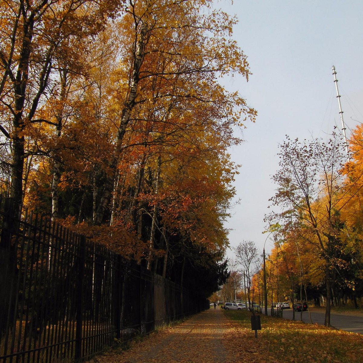 Город Обнинск осень
