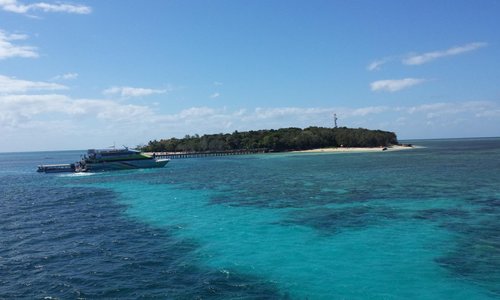 Islands 2024. Остров Рено Грин. Грин Айленд. Остров Грин.