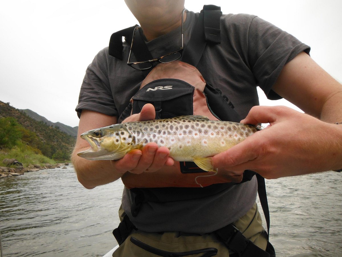 Frying Pan Anglers  Frias Properties of Aspen Snowmass