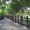 Things To Do in Jogging Paths & Tracks, Restaurants in Jogging Paths & Tracks