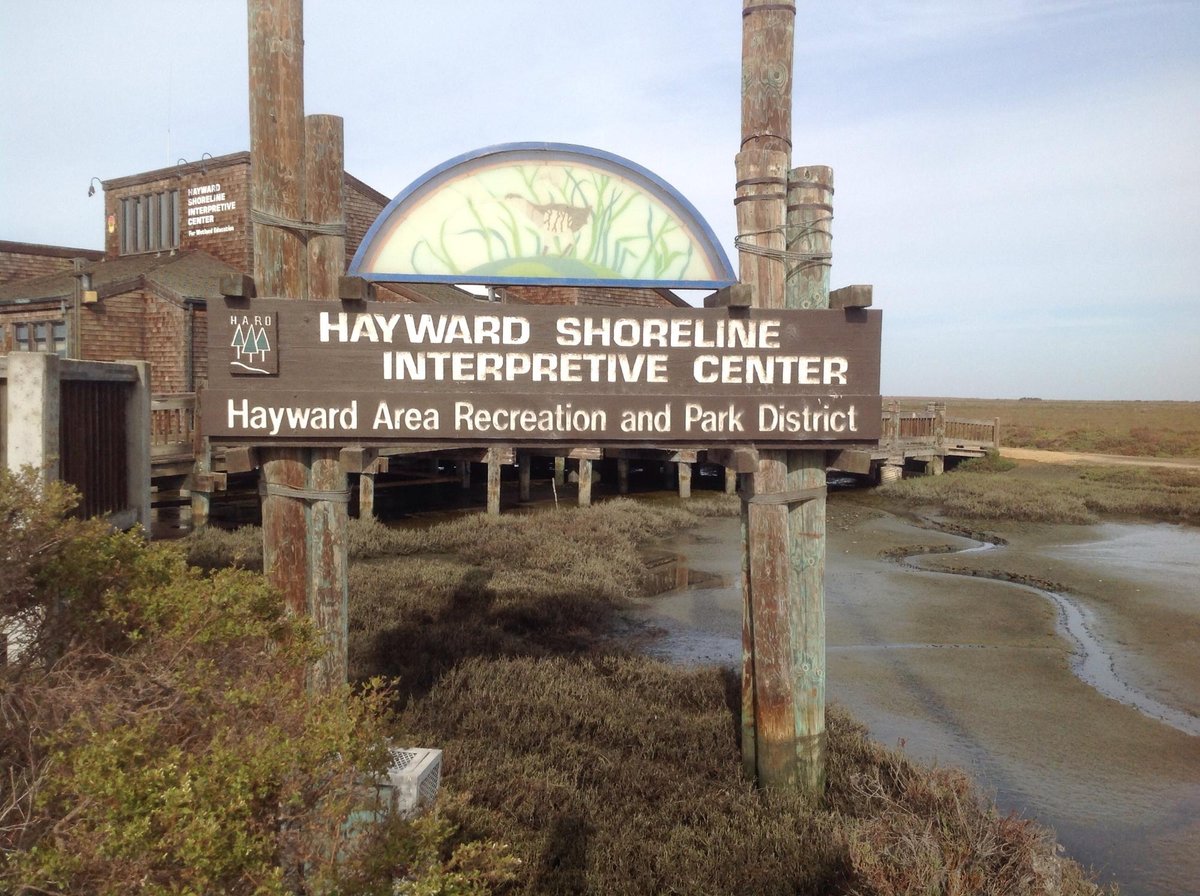 Hayward Shoreline Interpretive Center - All You Need to Know BEFORE You Go  (2024)