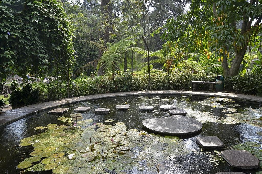 Botanical Garden and El Salvador Hill
