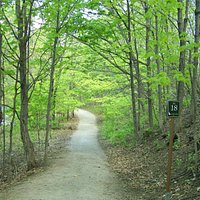 Les km sur les sentiers pédestres sont bien identifiés, Parc Chauveau
