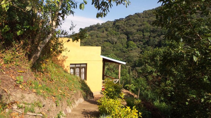 GORILLA VALLEY LODGE - Updated 2024 Prices & Reviews (Uganda/Bwindi ...