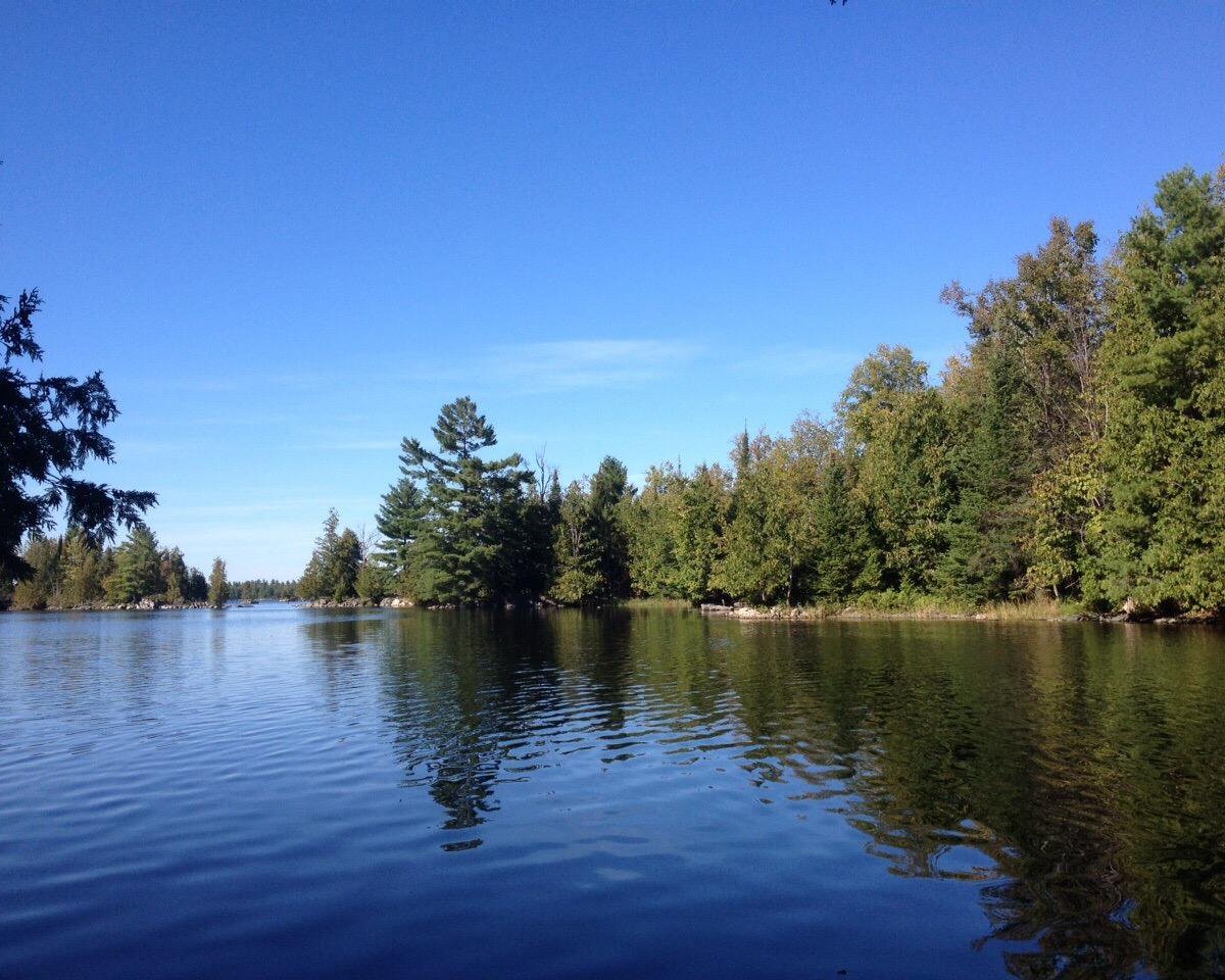 Morris Island Conservation Area (Fitzroy Harbour) - All You Need to ...