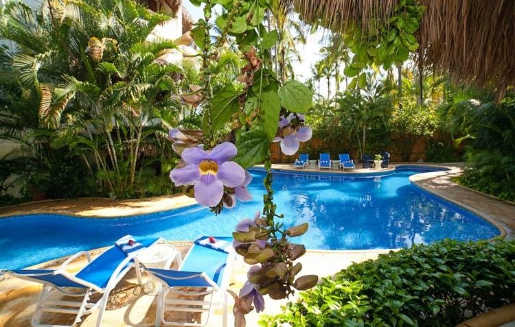 Common Pool and suntan chairs, view from one kitchen