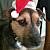 Doginahat