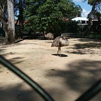 Central Gardens, just some of the animals