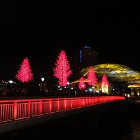 橋