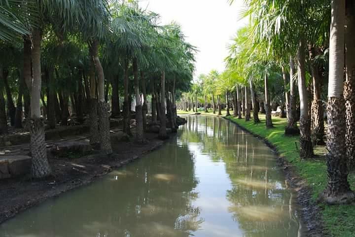 Suan Palm Farm Nok image