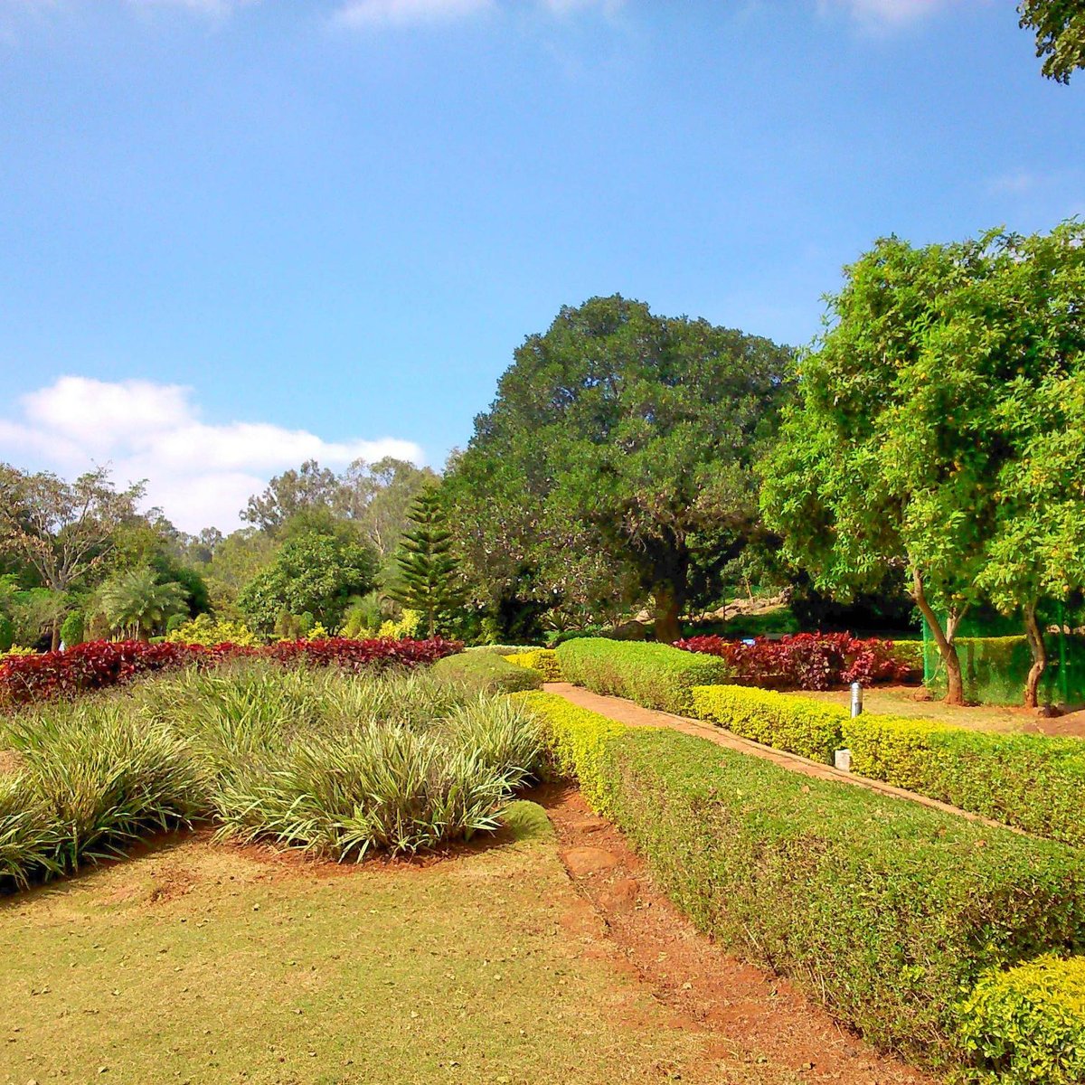 GOVERNMENT HERBAL FARM (Yelagiri) - All You Need to Know BEFORE You Go