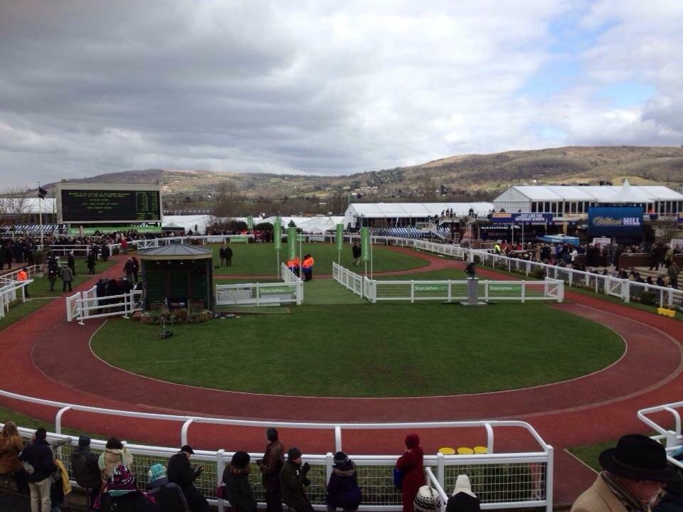 CHELTENHAM RACECOURSE (2025) All You Need to Know BEFORE You Go (with