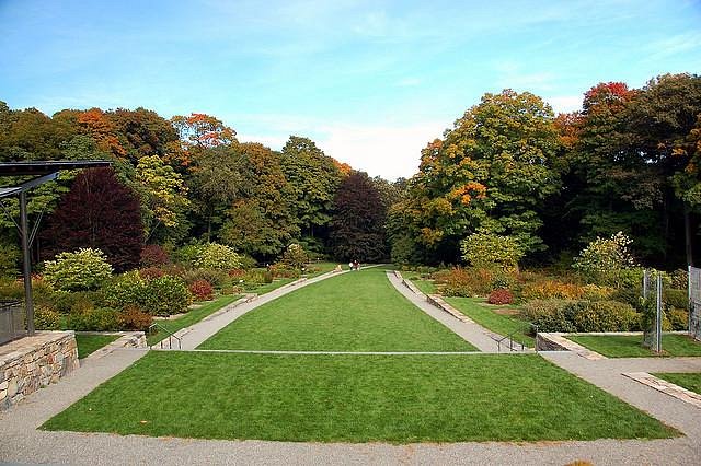 Arnold Arboretum in Boston, a serene botanical garden showcasing diverse plant collections, lush greenery, and peaceful walking trails