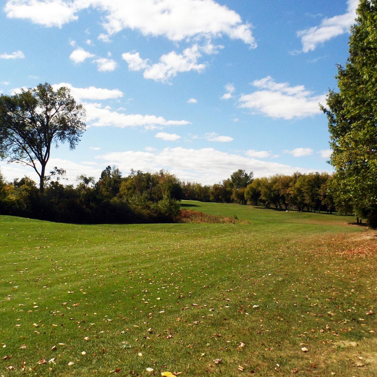 Pine Hills Golf Course (Laingsburg) All You Need to Know BEFORE You Go