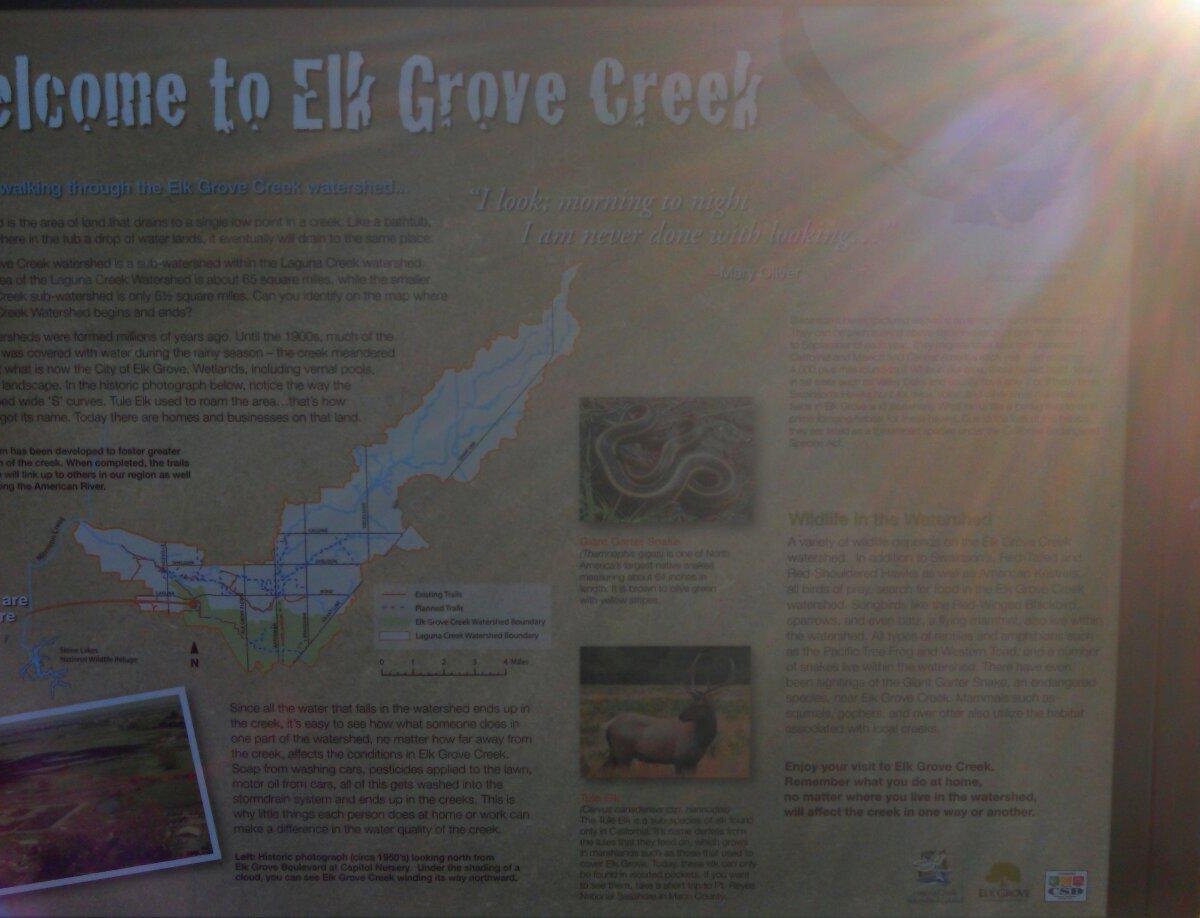 Elk Grove Creek Trail All You Need to Know BEFORE You Go