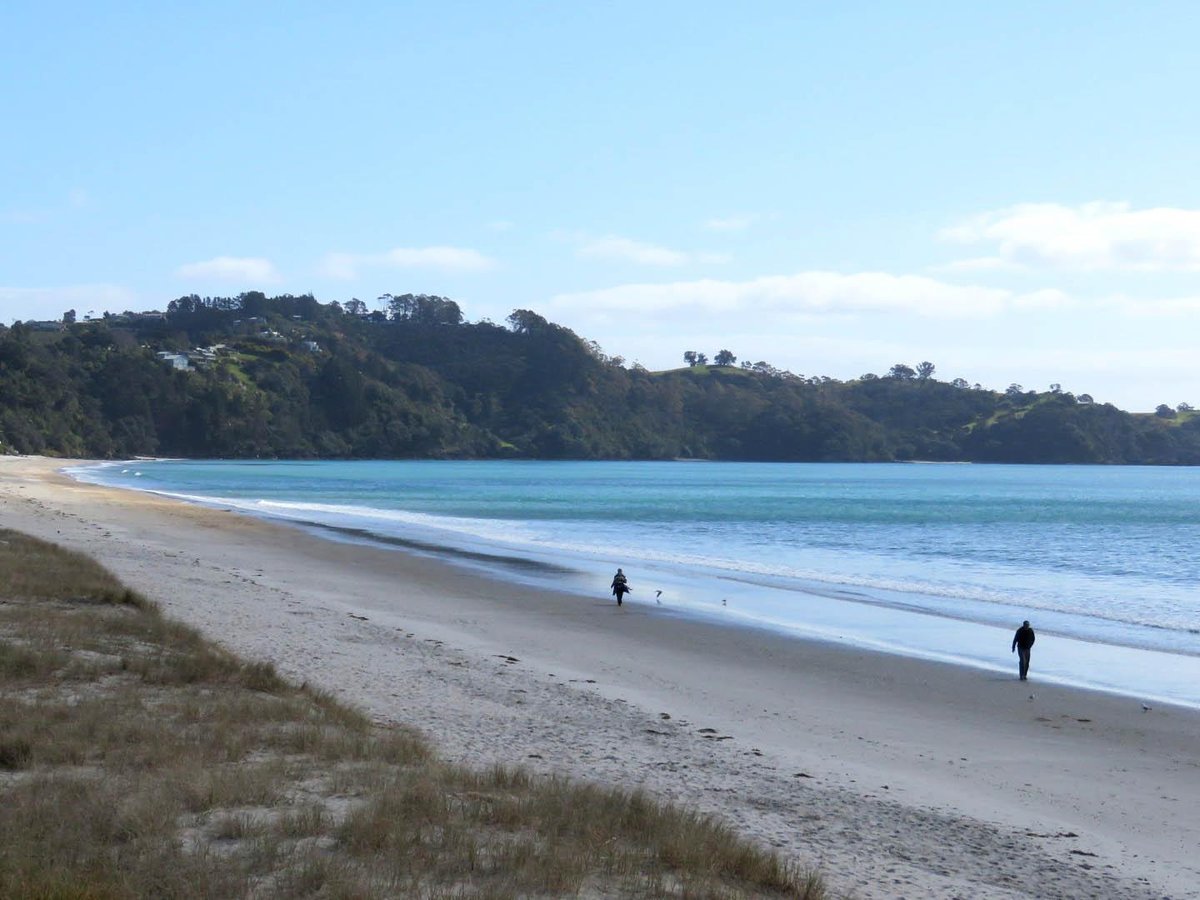 See Waiheke Tours - All You Need to Know BEFORE You Go (2024)