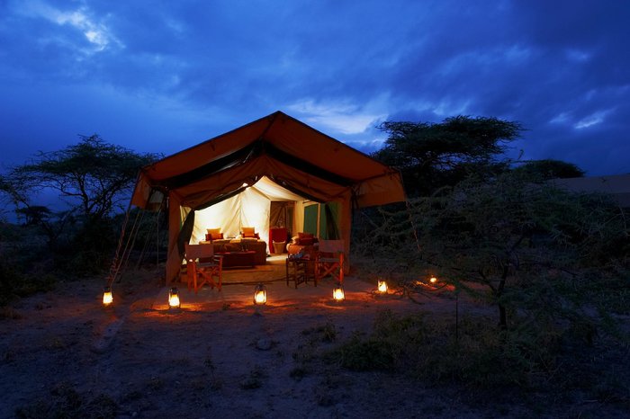 Our Top 5 Mobile Camps to Experience the Great Migration